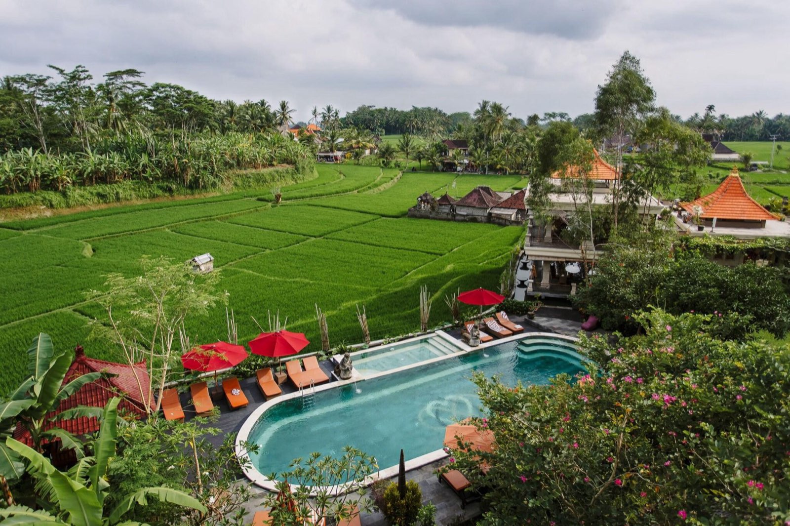 Piscina del alojamiento rodeada de arrozales y selva